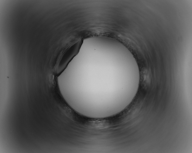 X0000096710615200802191509