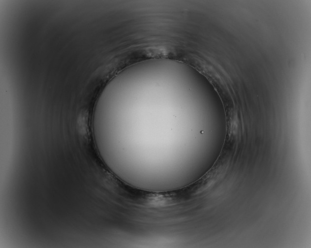 X0000096710616200802191509