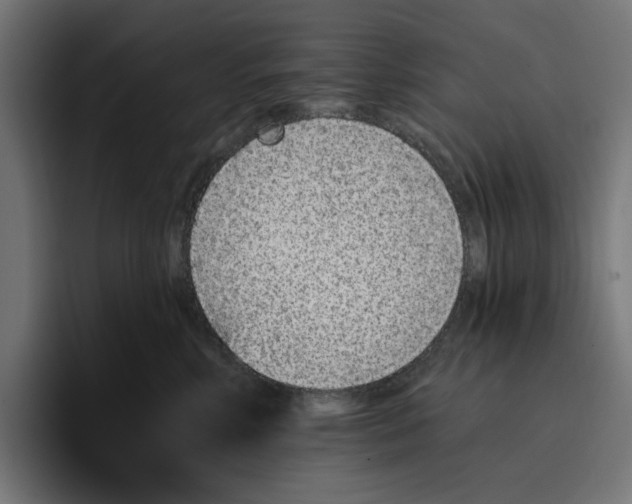 X0000096710618200802191509