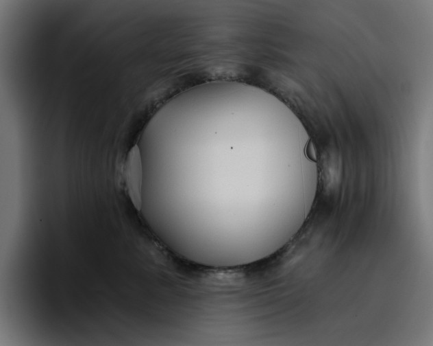 X0000096710619200802191509