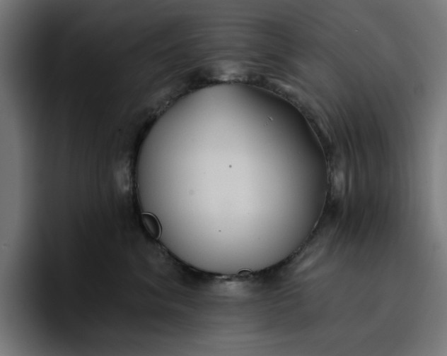 X0000096710620200802191509