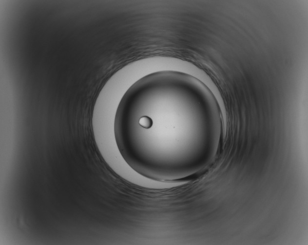 X0000096710621200802191509