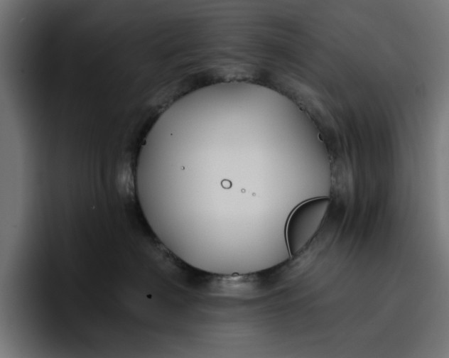 X0000096710622200802191509