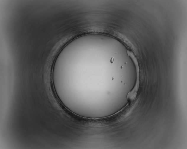 X0000096710625200802191509