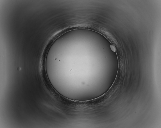 X0000096710628200802191509