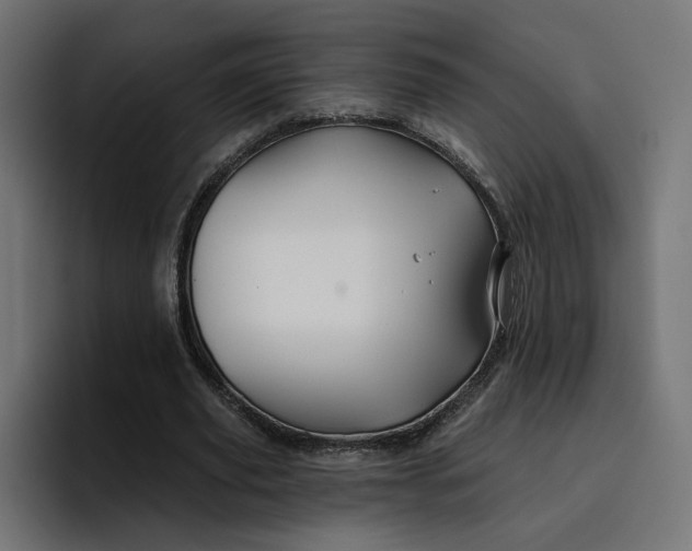 X0000096710629200802191509