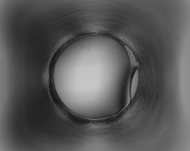 X0000096710630200802191509