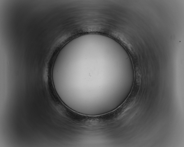 X0000096710631200802191509