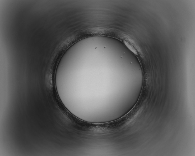 X0000096710633200802191509