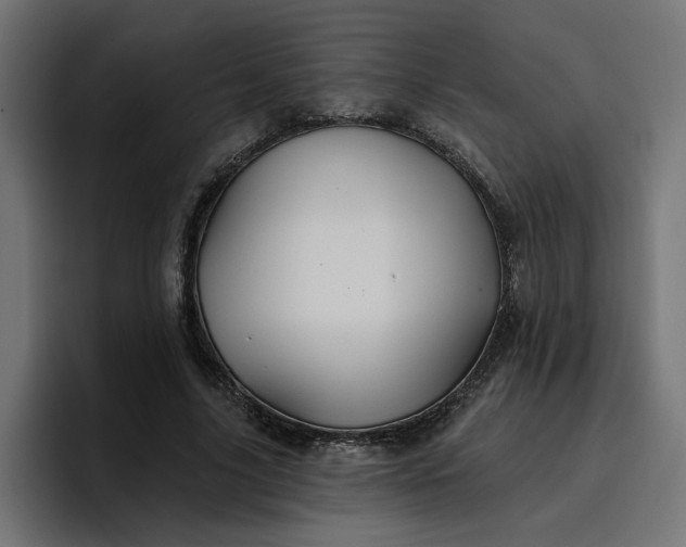 X0000096710635200802191509