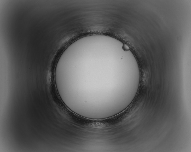 X0000096710636200802191509