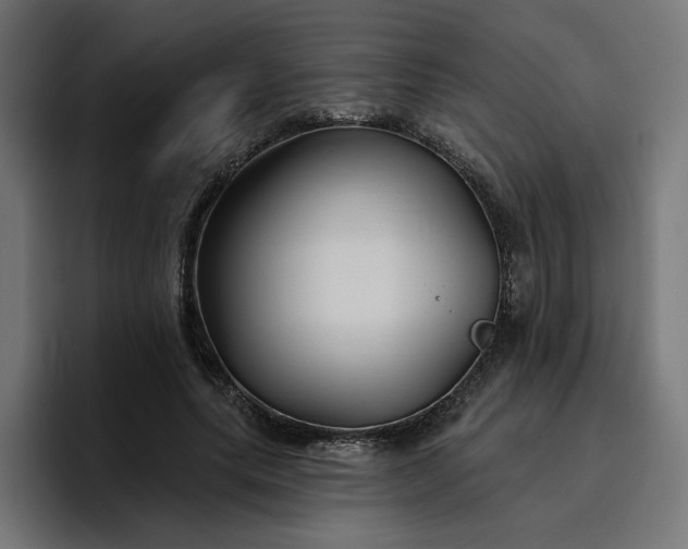 X0000096710639200802191509