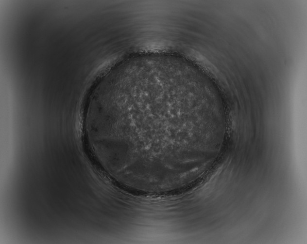 X0000096710640200802191509