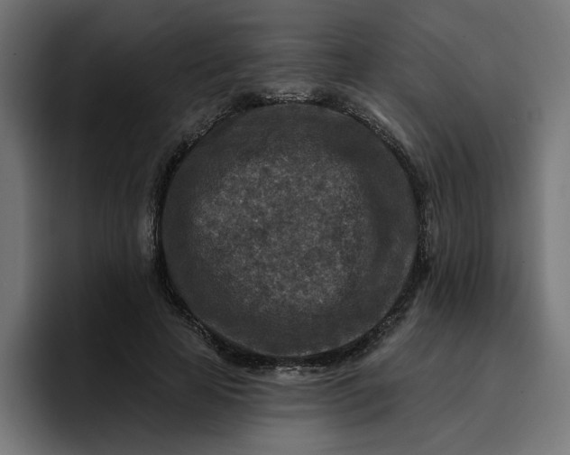 X0000096710641200802191509