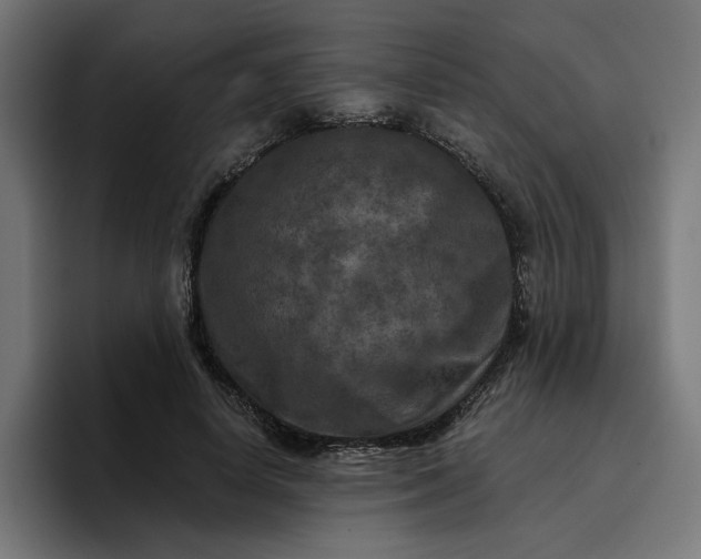 X0000096710642200802191509