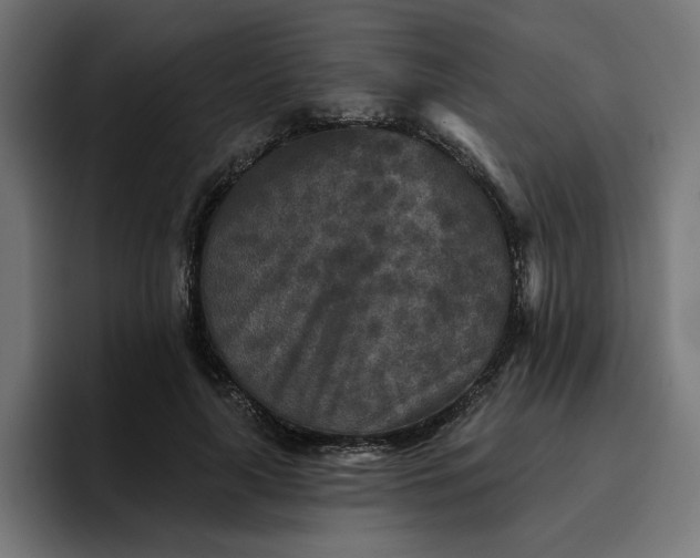 X0000096710643200802191509