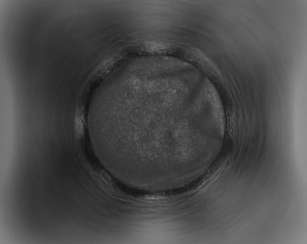 X0000096710644200802191509