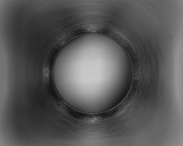 X0000096710646200802191509