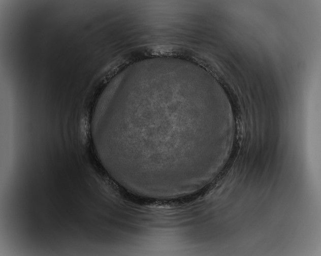 X0000096710648200802191509