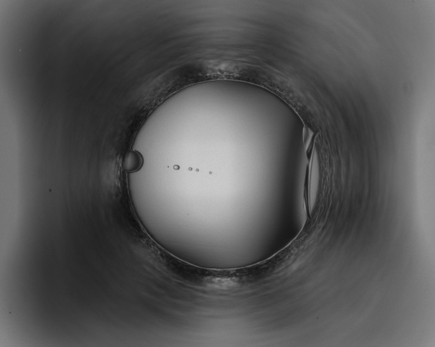 X0000096710649200802191509