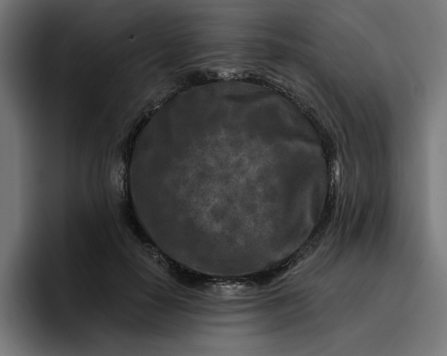 X0000096710650200802191509