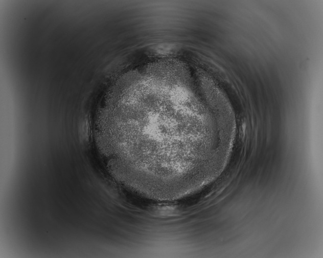 X0000096710651200802191509