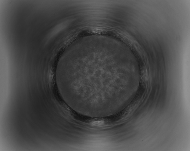 X0000096710653200802191509