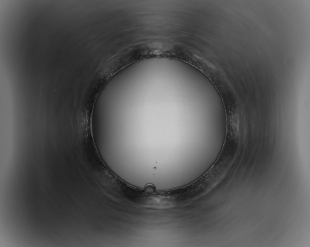 X0000096710657200802191509