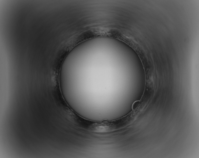 X0000096710658200802191509