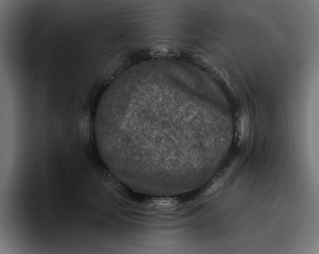 X0000096710659200802191509