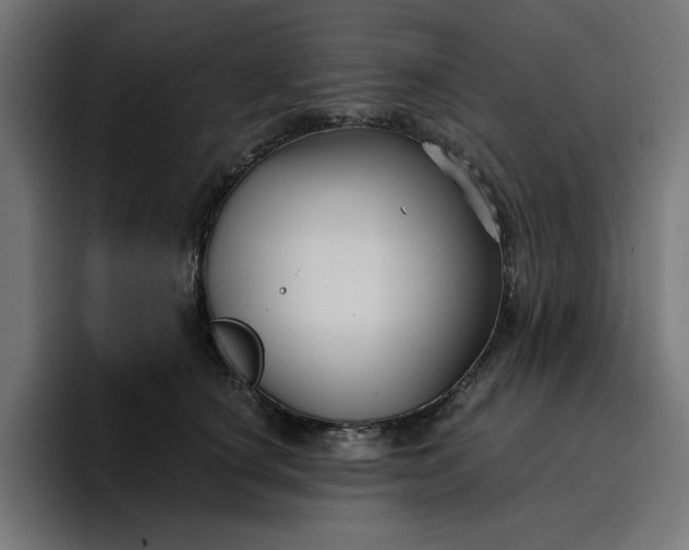 X0000096710660200802191509