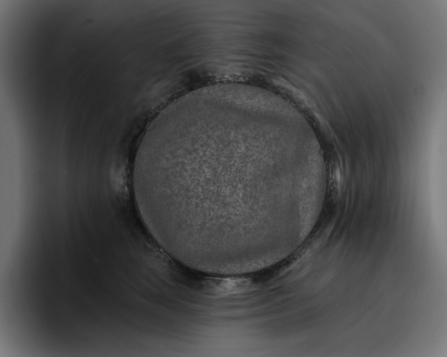 X0000096710663200802191509