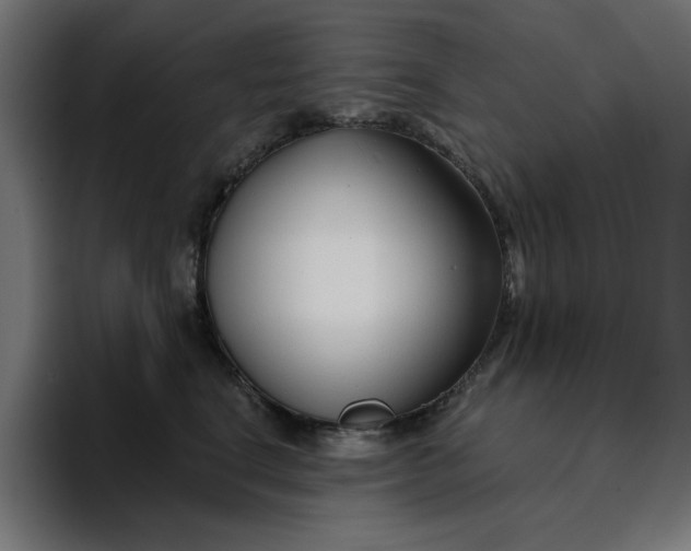 X0000096710664200802191509