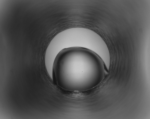 X0000096710666200802191509