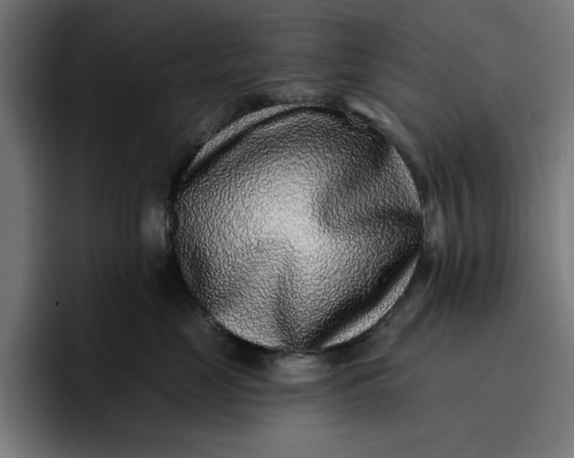 X0000096710669200802191509