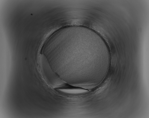 X0000096710673200802191509