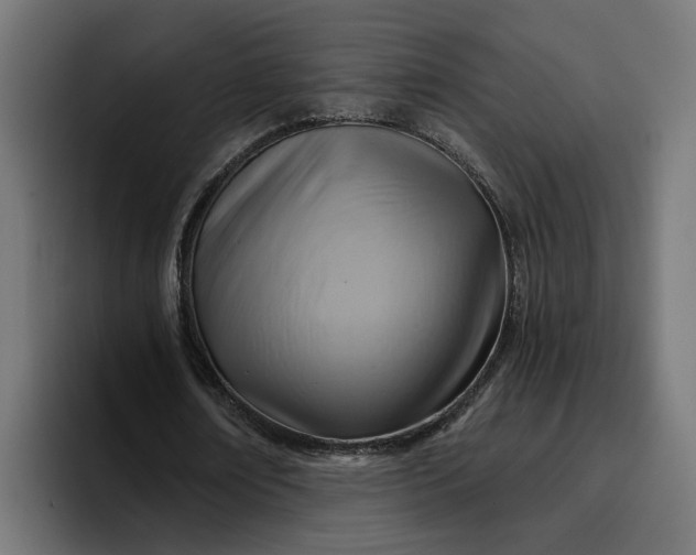 X0000096710674200802191509