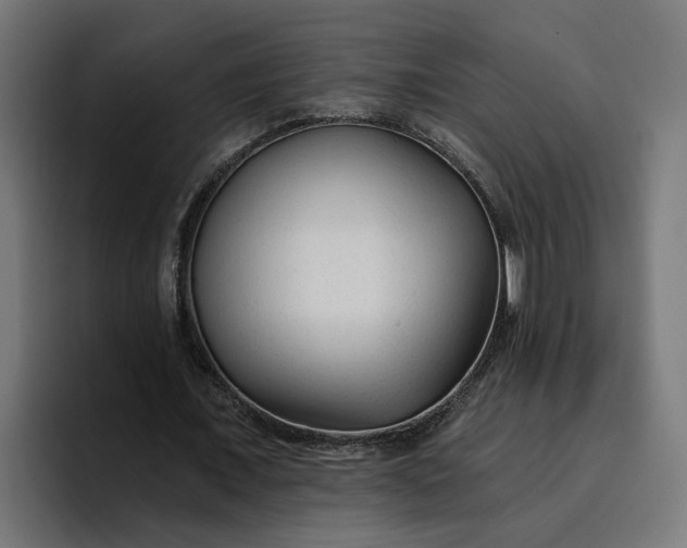 X0000096710675200802191509