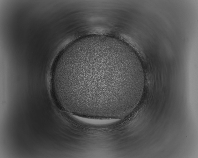 X0000096710679200802191509