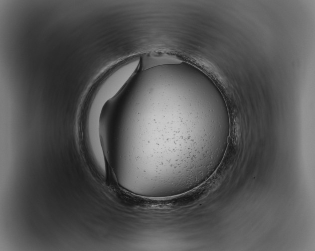 X0000096710680200802191509