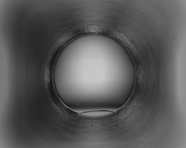 X0000096710683200802191509