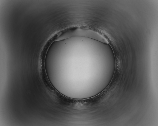 X0000096710684200802191509