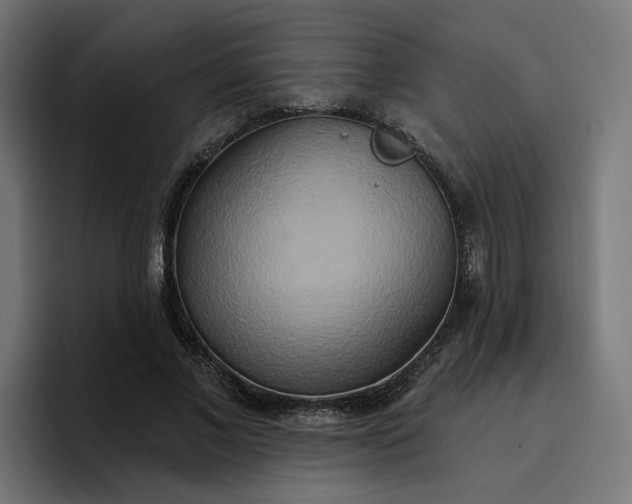 X0000096710685200802191509