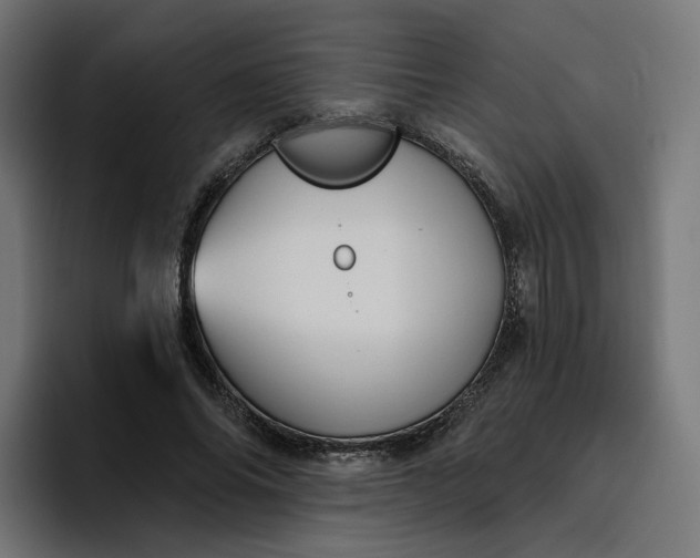 X0000096710686200802191509