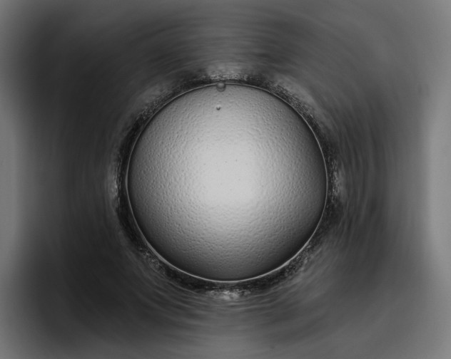 X0000096710687200802191509