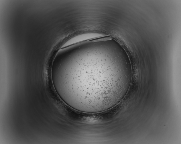 X0000096710688200802191508