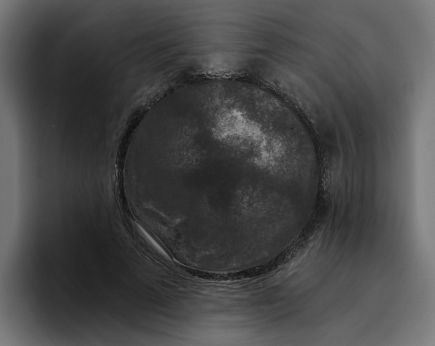 X0000096710689200802191508