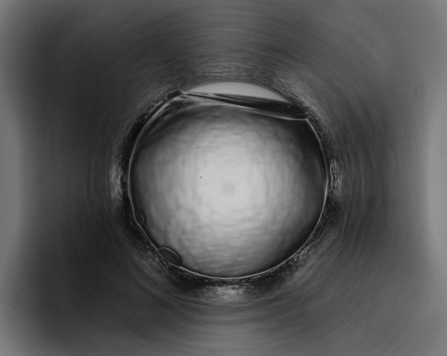 X0000096710692200802191508