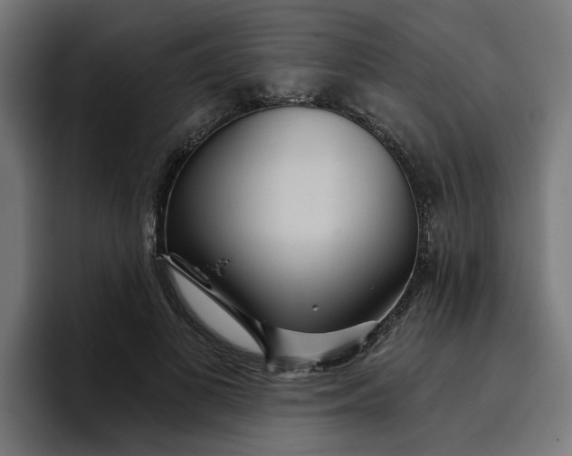 X0000096710693200802191508