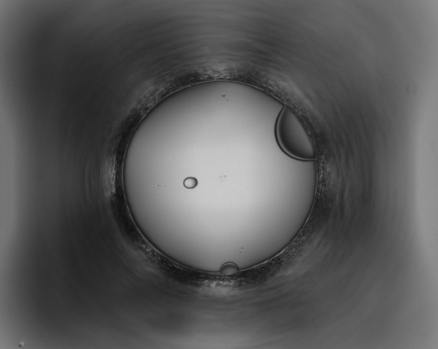 X0000096710694200802191508